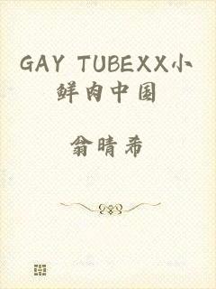 GAY TUBEXX小鲜肉中国